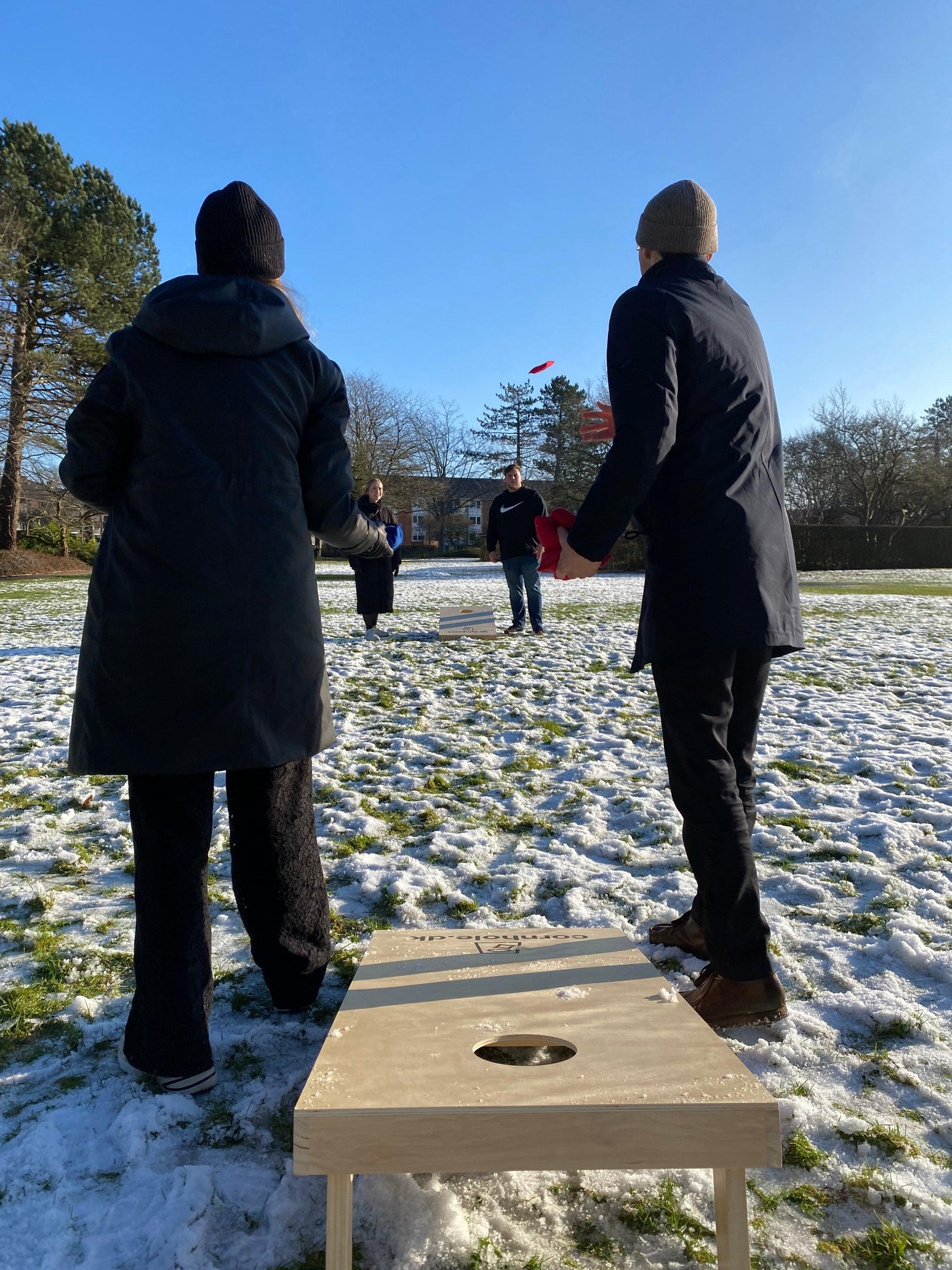 Havespil - Cornhole.dk